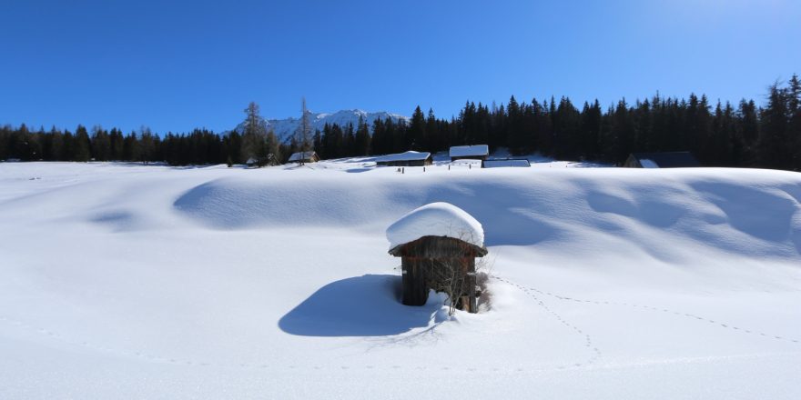 Schneeschuhwandern Viehbergalm Gröbming